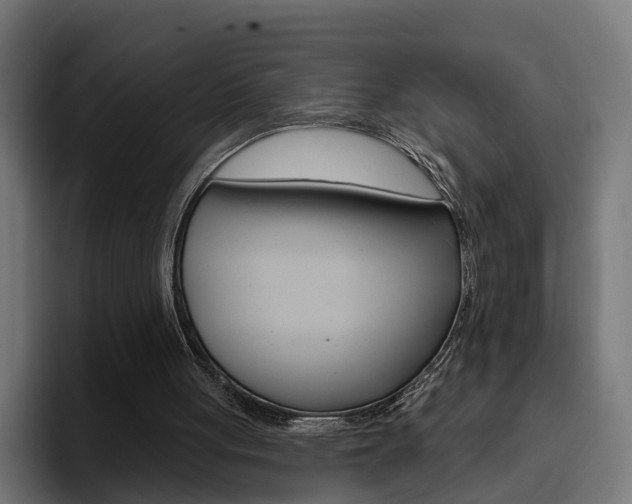 X0000094770051200711160838