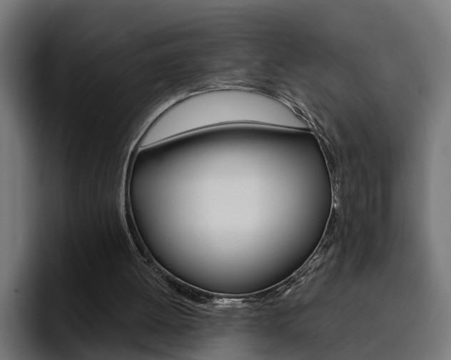 X0000094770052200711160838