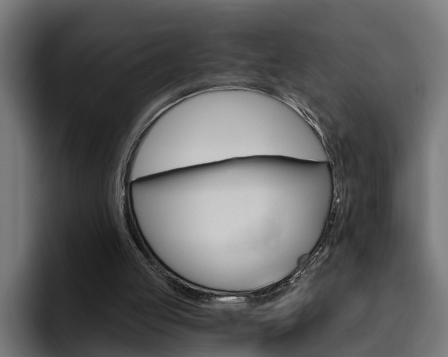 X0000094770053200711160838