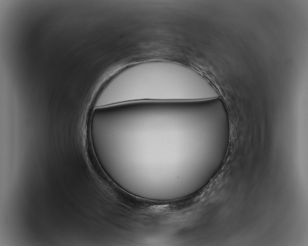 X0000094770054200711160838