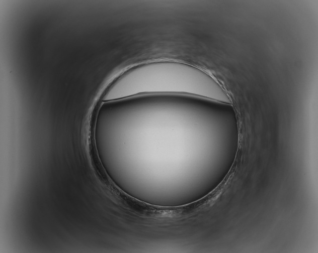 X0000094770056200711160838