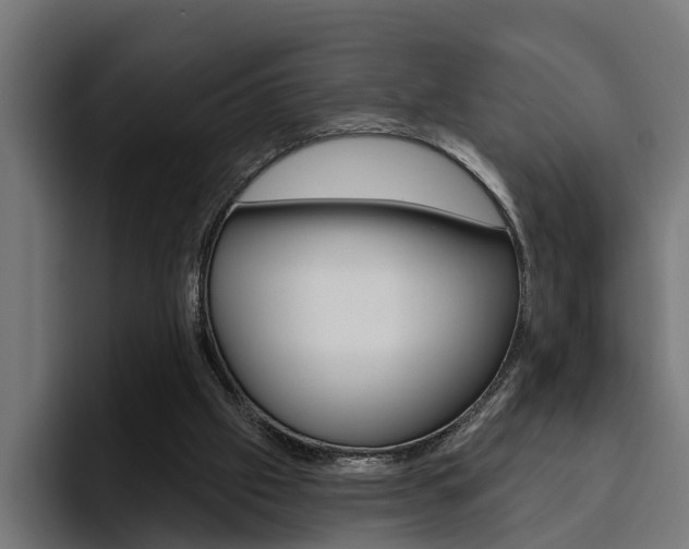 X0000094770057200711160838