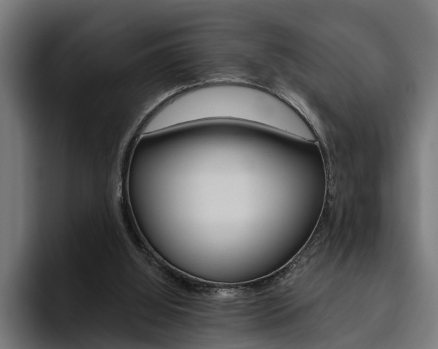 X0000094770060200711160838