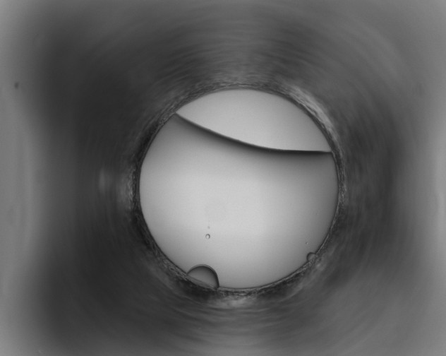 X0000094770065200711160838