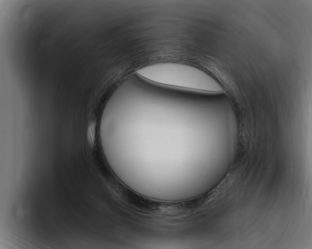 X0000094770070200711160838