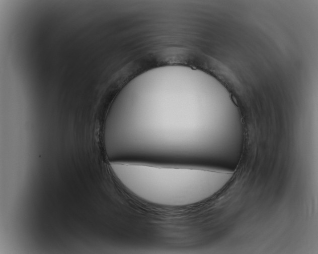 X0000094770073200711160838