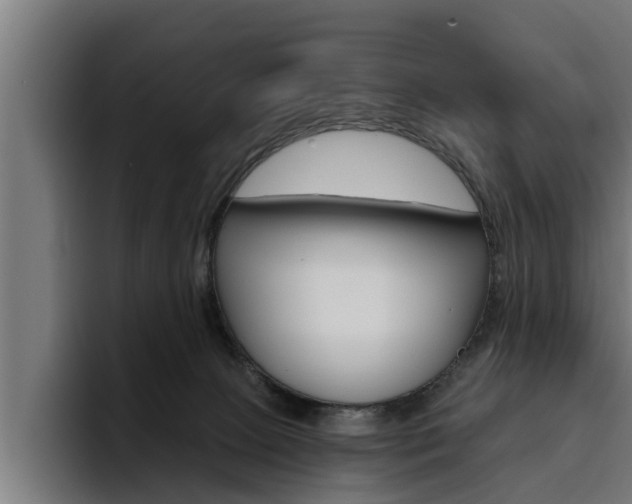 X0000094770081200711160839