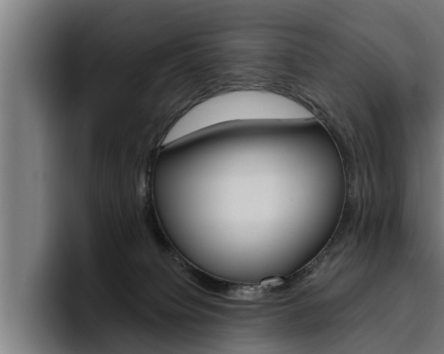 X0000094770084200711160839
