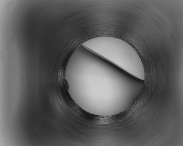 X0000094770093200711160839