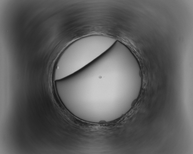 X0000094770098200711160838