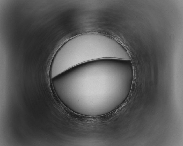 X0000094770099200711160838