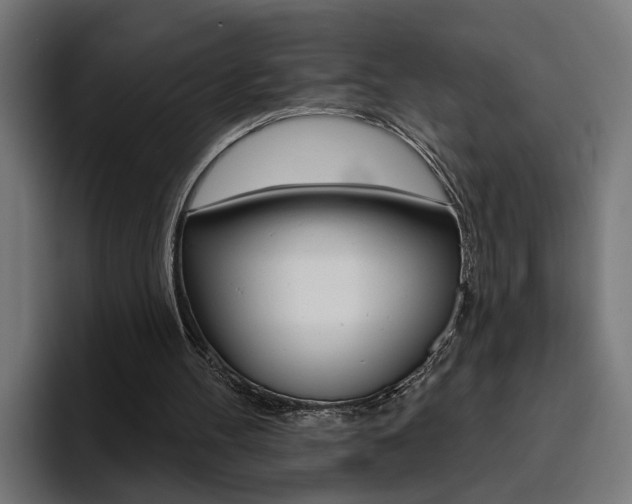 X0000094770100200711160838