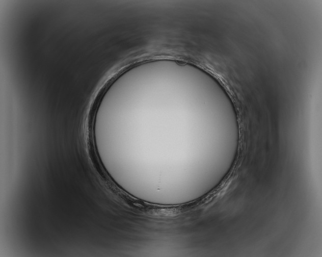 X0000094770102200711160838