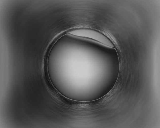 X0000094770108200711160838