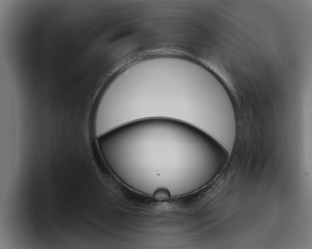 X0000094770111200711160838