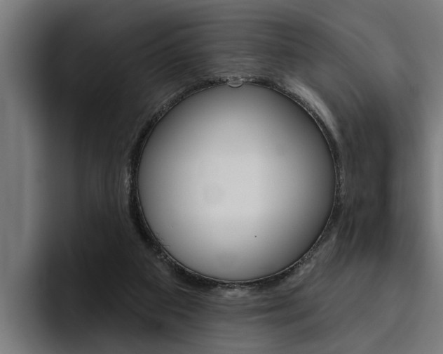 X0000094770113200711160838