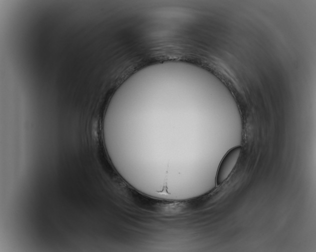 X0000094770122200711160838