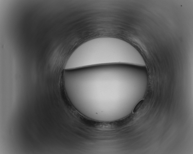 X0000094770123200711160838