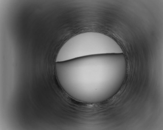 X0000094770130200711160838