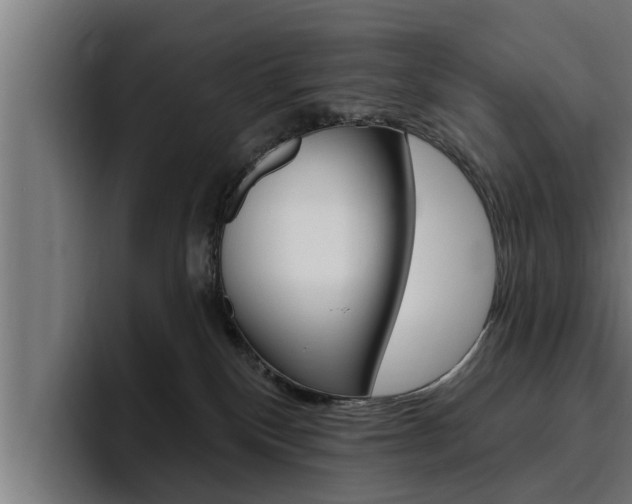 X0000094770136200711160838