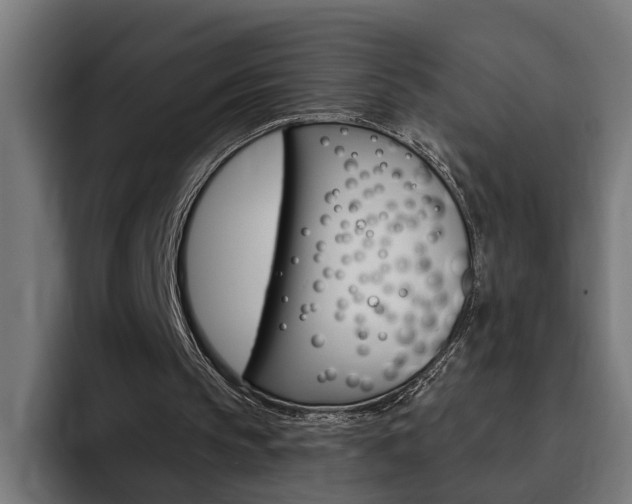 X0000094770145200711160837