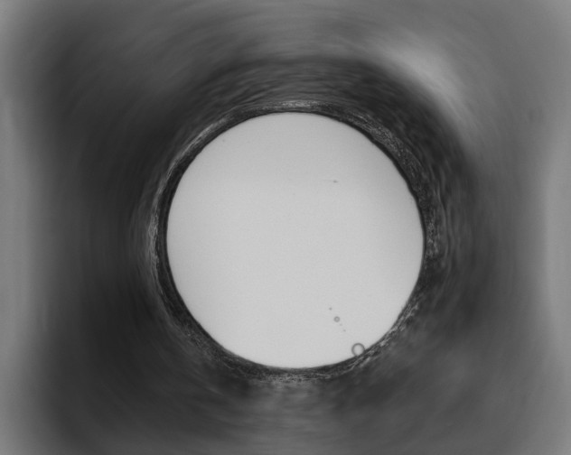 X0000094770146200711160837
