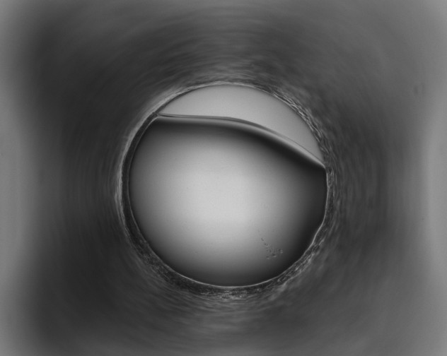 X0000094770148200711160837