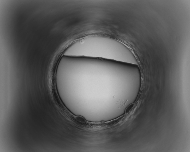 X0000094770149200711160837