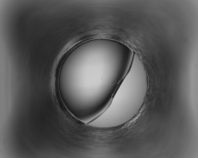 X0000094770150200711160837