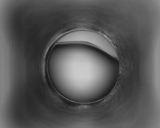 X0000094770152200711160837