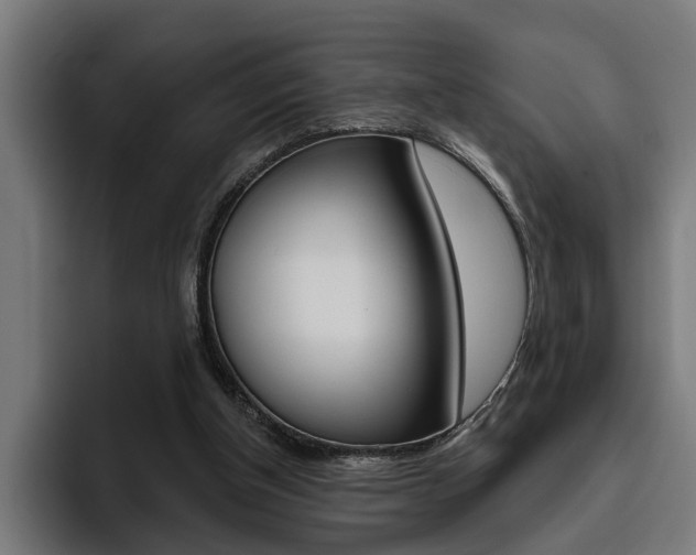 X0000094770154200711160837