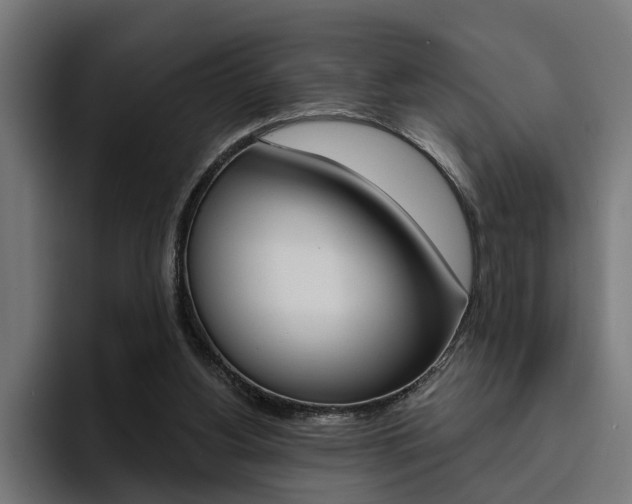 X0000094770156200711160837