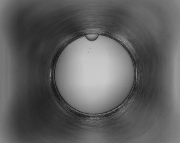 X0000094770157200711160837