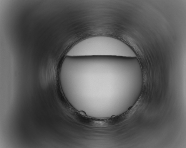 X0000094770167200711160837