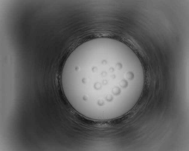 X0000094770169200711160837