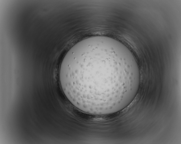 X0000094770171200711160837