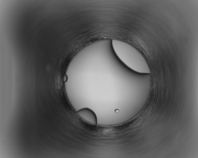 X0000094770173200711160837