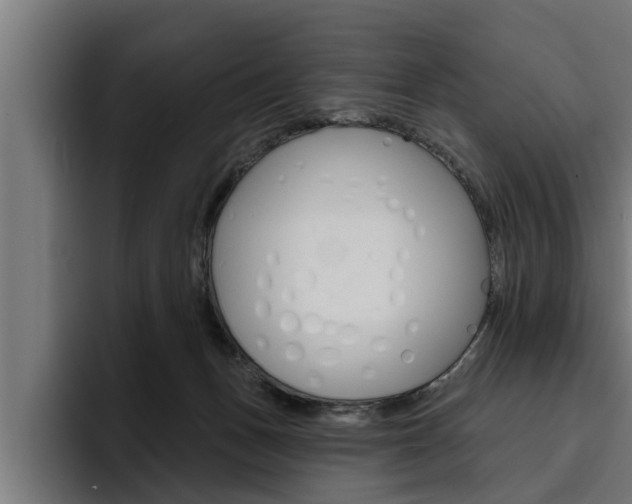 X0000094770175200711160837