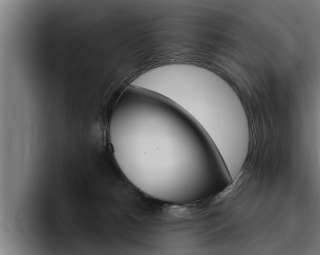 X0000094770180200711160837