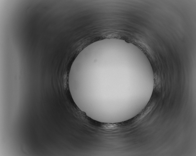X0000094770189200711160837