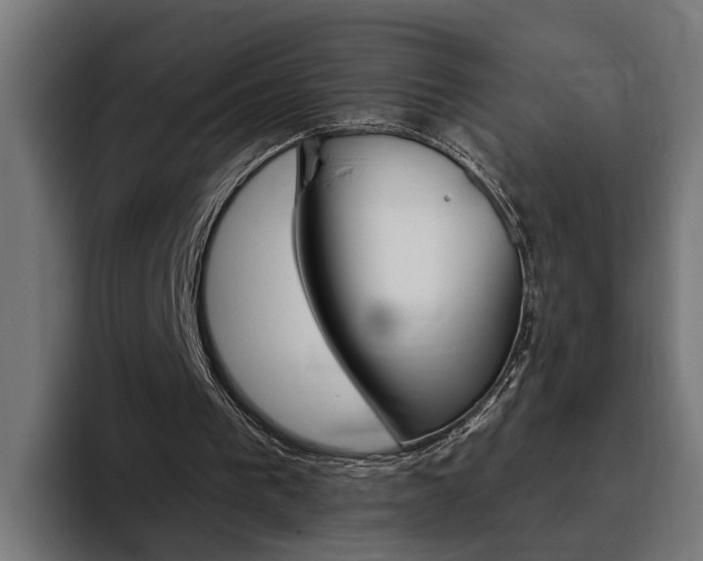 X0000094770193200711160837
