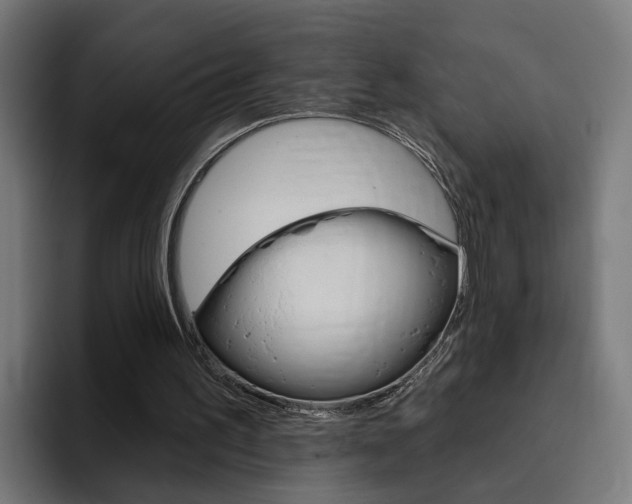 X0000094770195200711160837