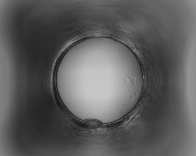 X0000094770196200711160837