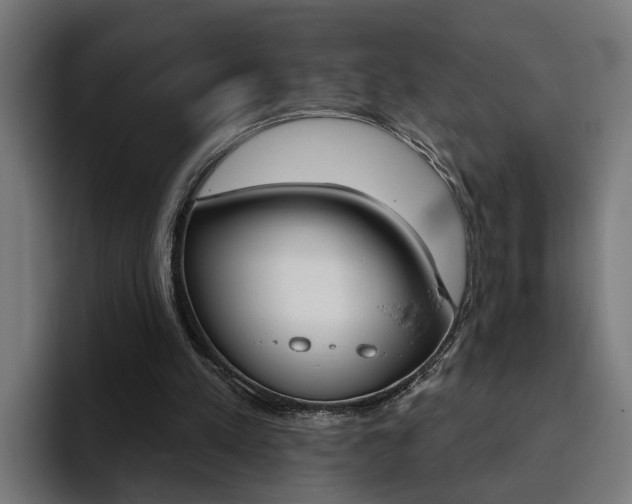 X0000094770197200711160837