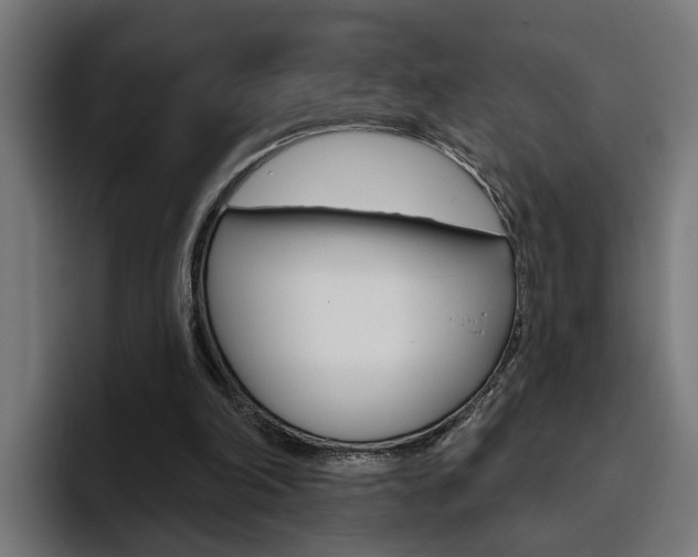 X0000094770198200711160837