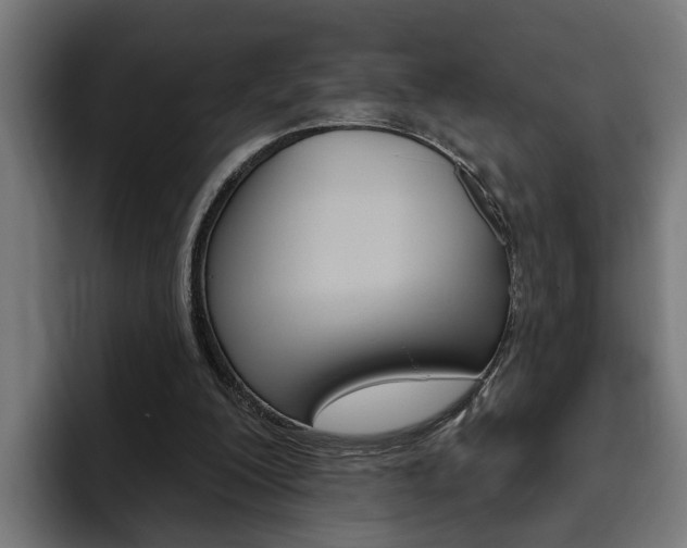 X0000094770200200711160837