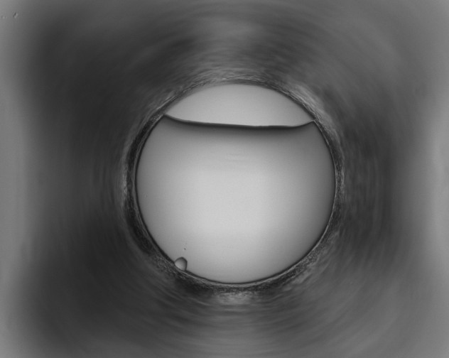 X0000094770202200711160837