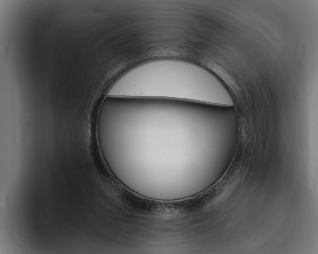 X0000094770207200711160837