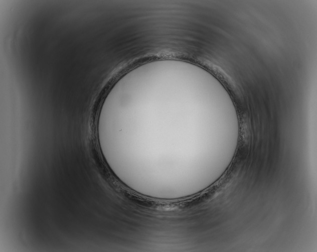 X0000094770208200711160837