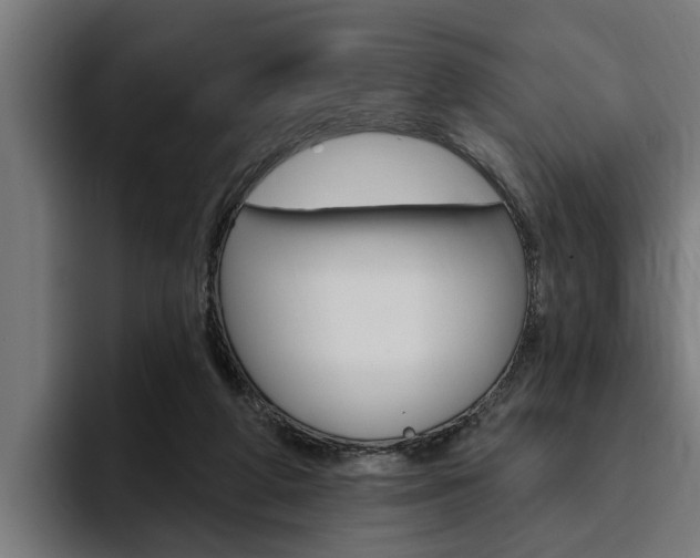 X0000094770210200711160837